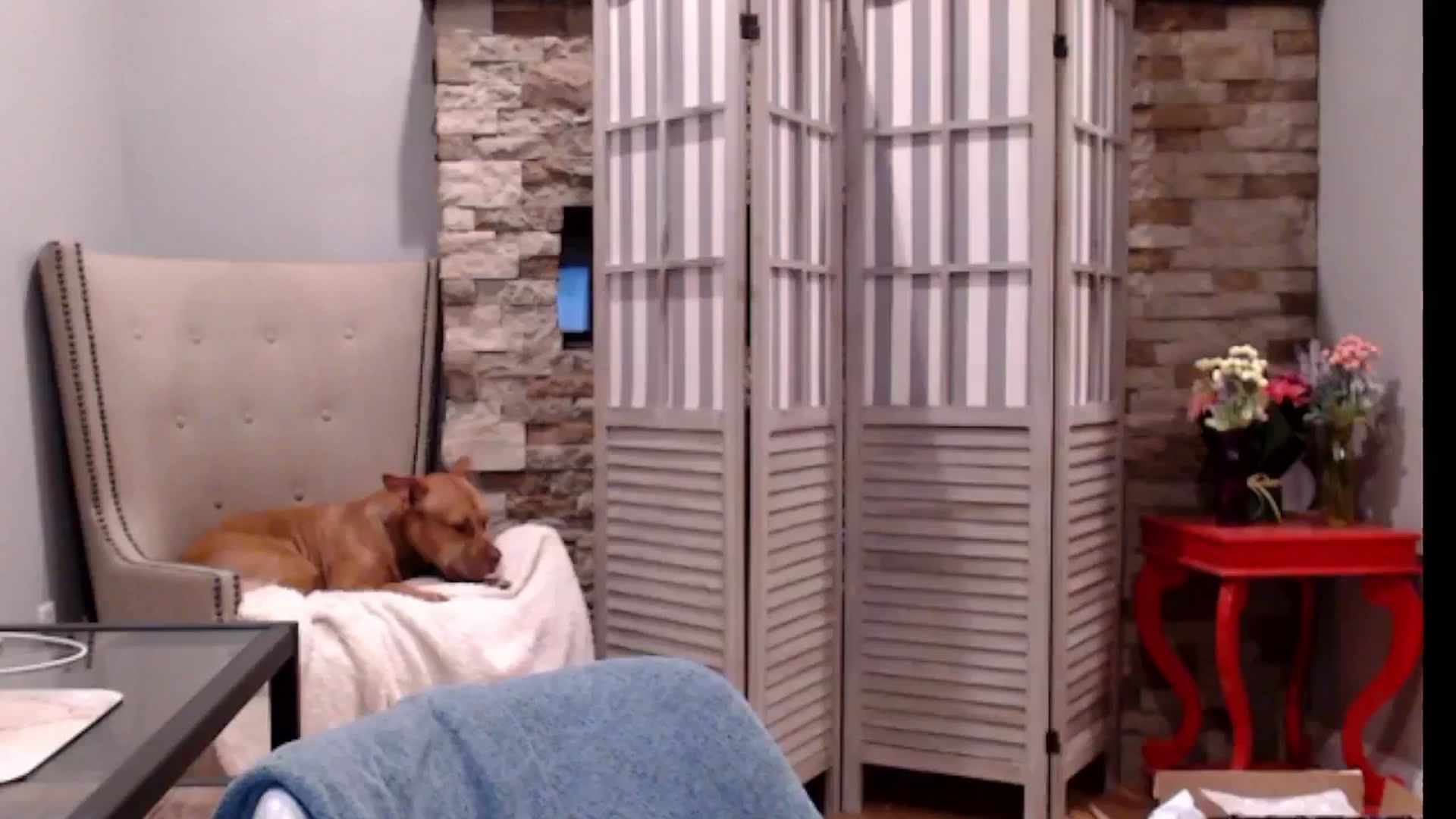 Gallery image thumbnail from AmyDay's myfreecams stream on, 09/16/2024, 06:14 image 14 of 20