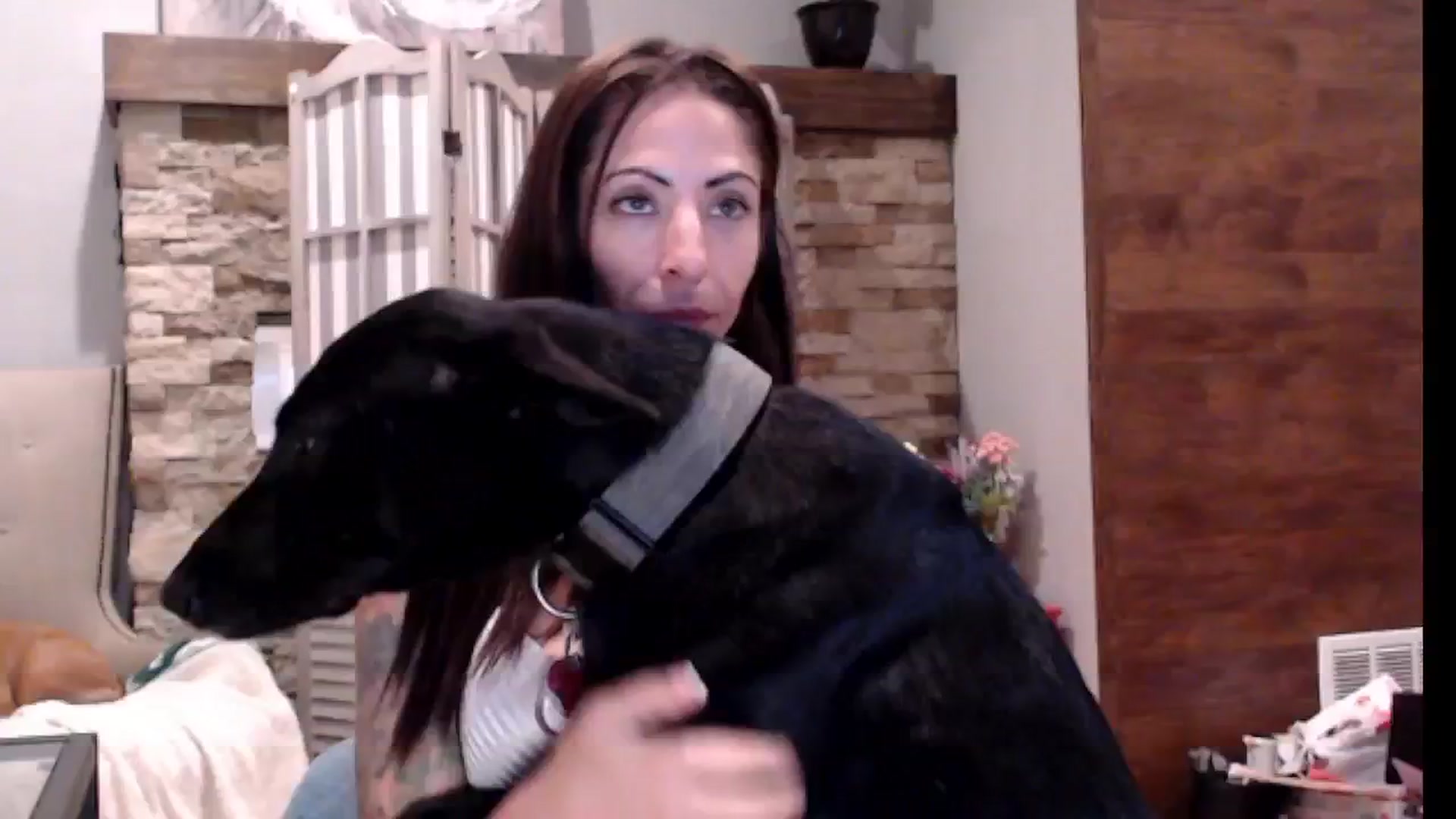 Gallery image thumbnail from AmyDay's myfreecams stream on, 09/25/2024, 18:25 image 4 of 20