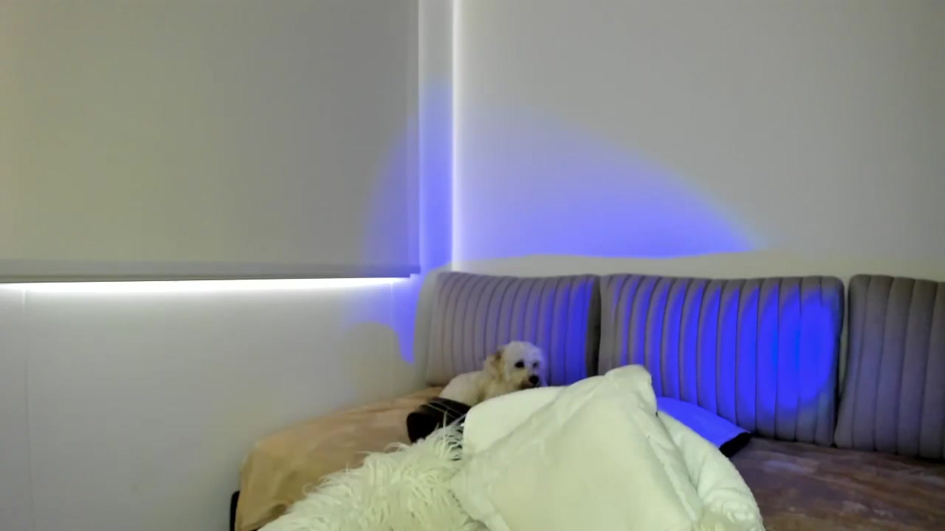 Gallery image thumbnail from AmyLeer_'s myfreecams stream on, 07/01/2025, 21:48 image 19 of 20