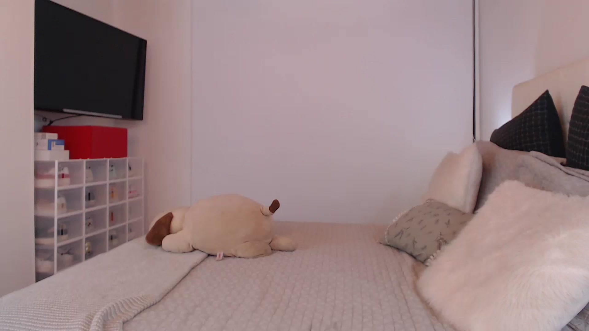 Gallery image thumbnail from AmyLi's myfreecams stream on, 08/15/2024, 08:07 image 6 of 20