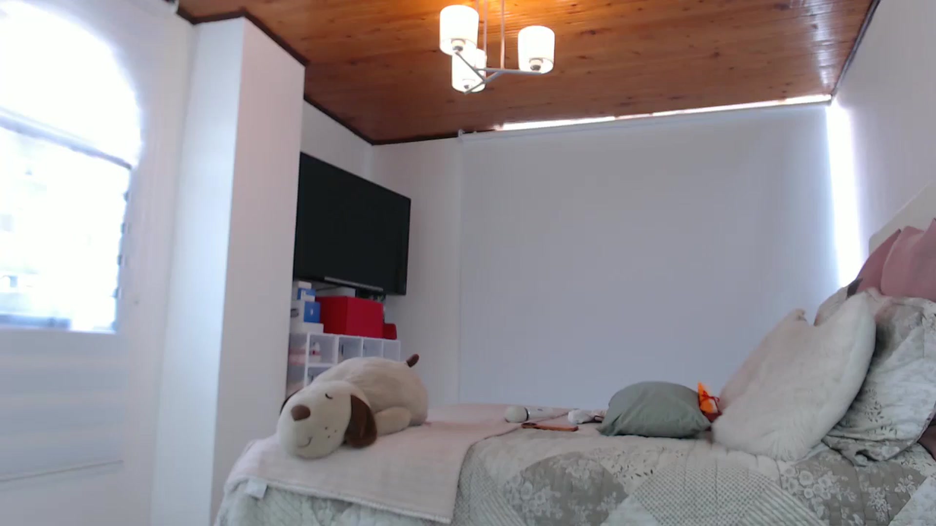 Gallery image thumbnail from AmyLi's myfreecams stream on, 10/31/2024, 18:44 image 14 of 20