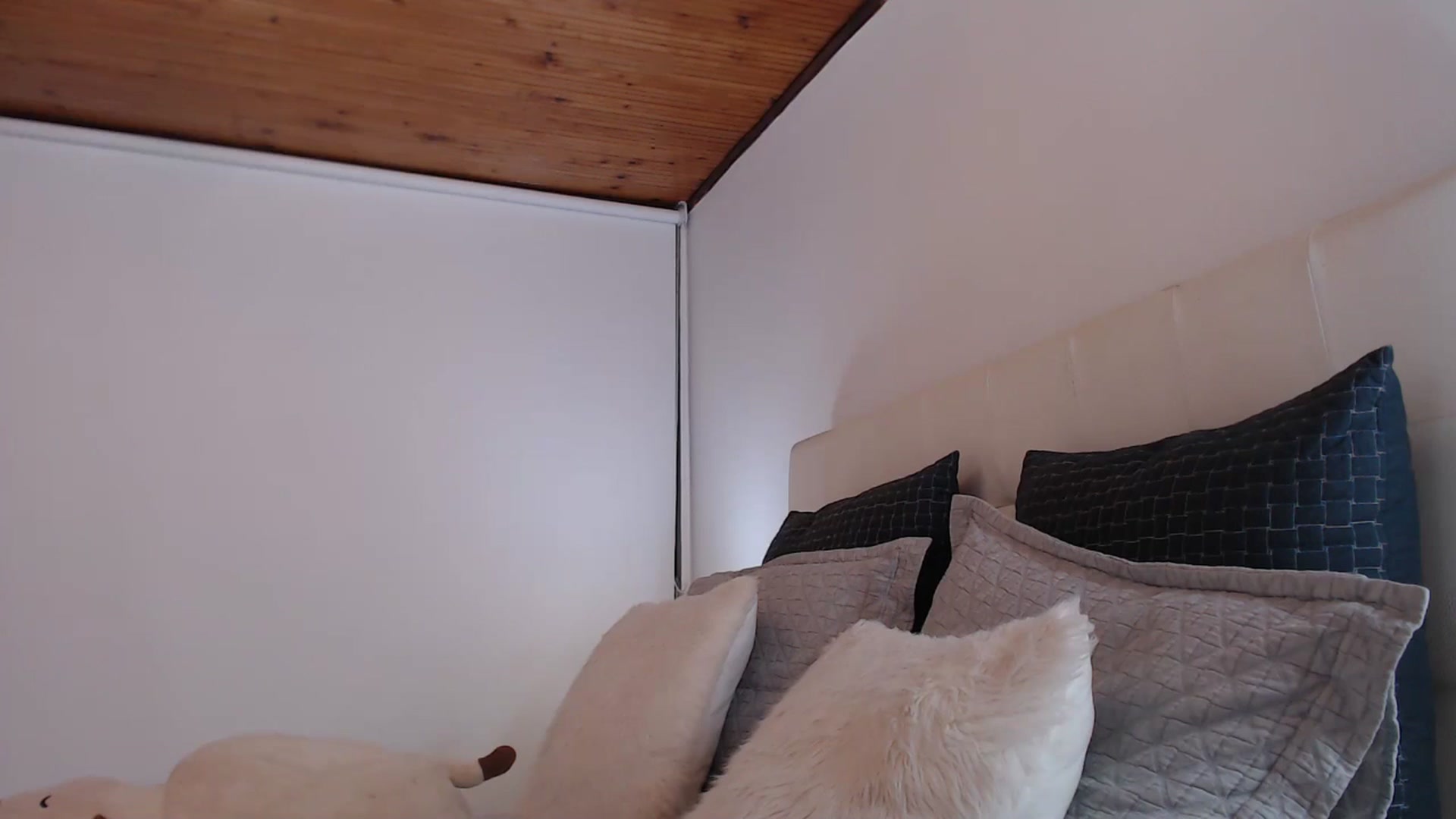 Gallery image thumbnail from AmyLi's myfreecams stream on, 03/28/2026, 07:04 image 7 of 20