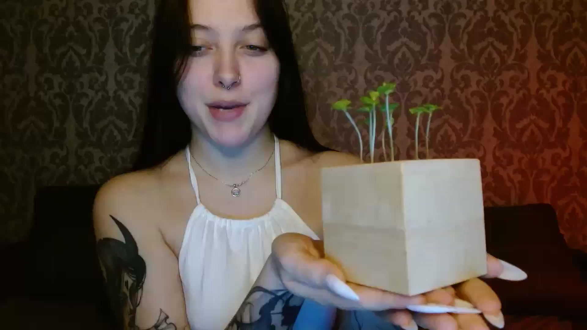 Gallery image thumbnail from AmyWard's myfreecams stream on, 04/04/2026, 15:01 image 6 of 20