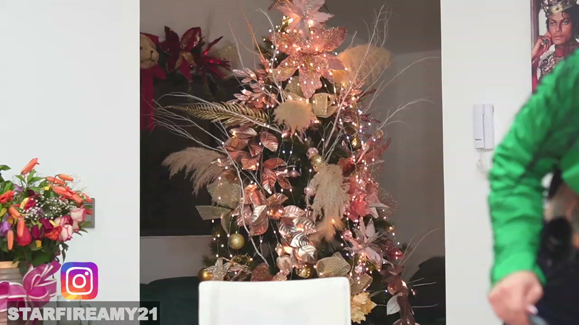 Gallery image thumbnail from Amy_Starfire's myfreecams stream on, 12/24/2022, 03:08 image 7 of 20