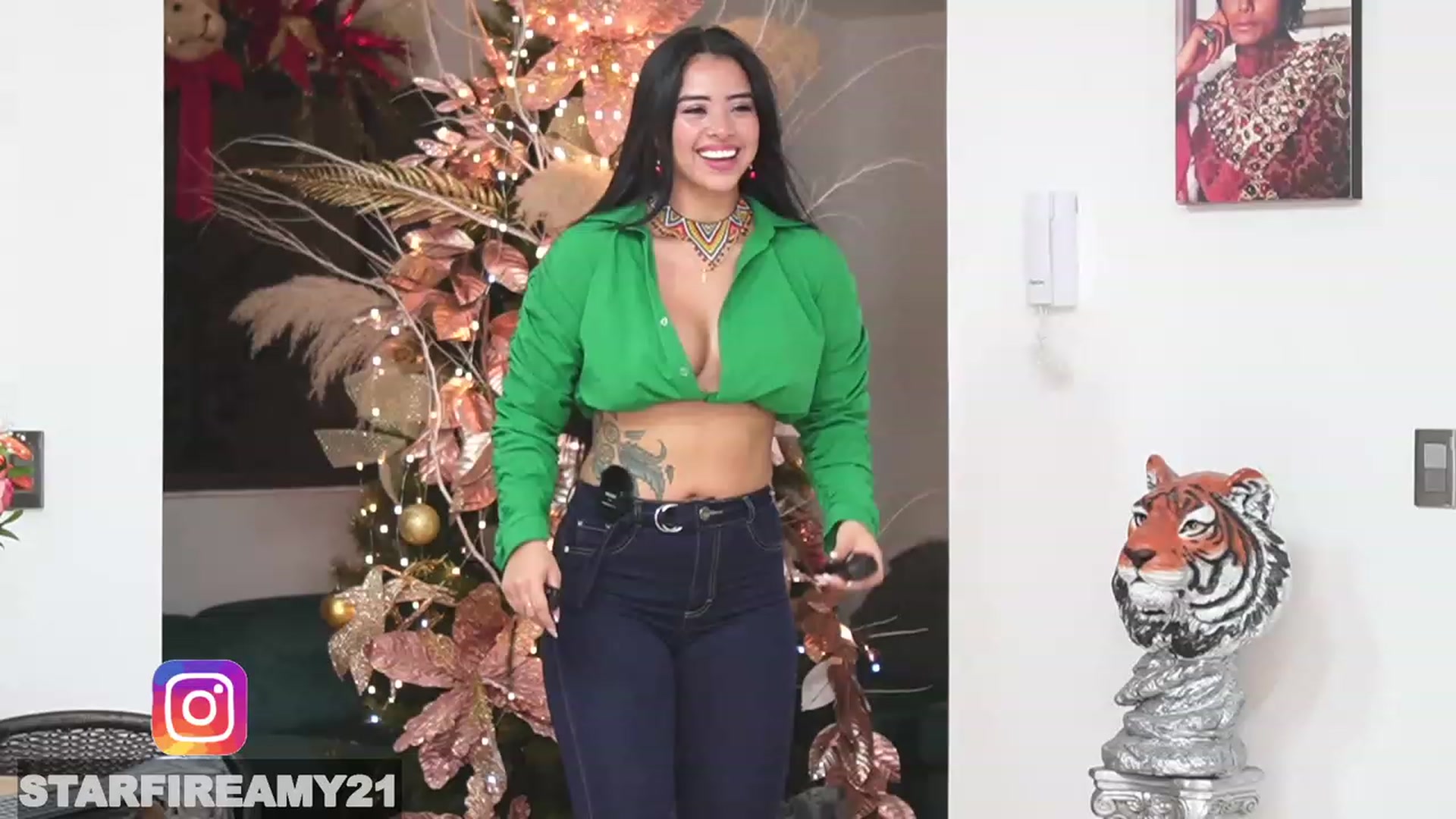 Gallery image thumbnail from Amy_Starfire's myfreecams stream on, 12/24/2022, 03:08 image 19 of 20