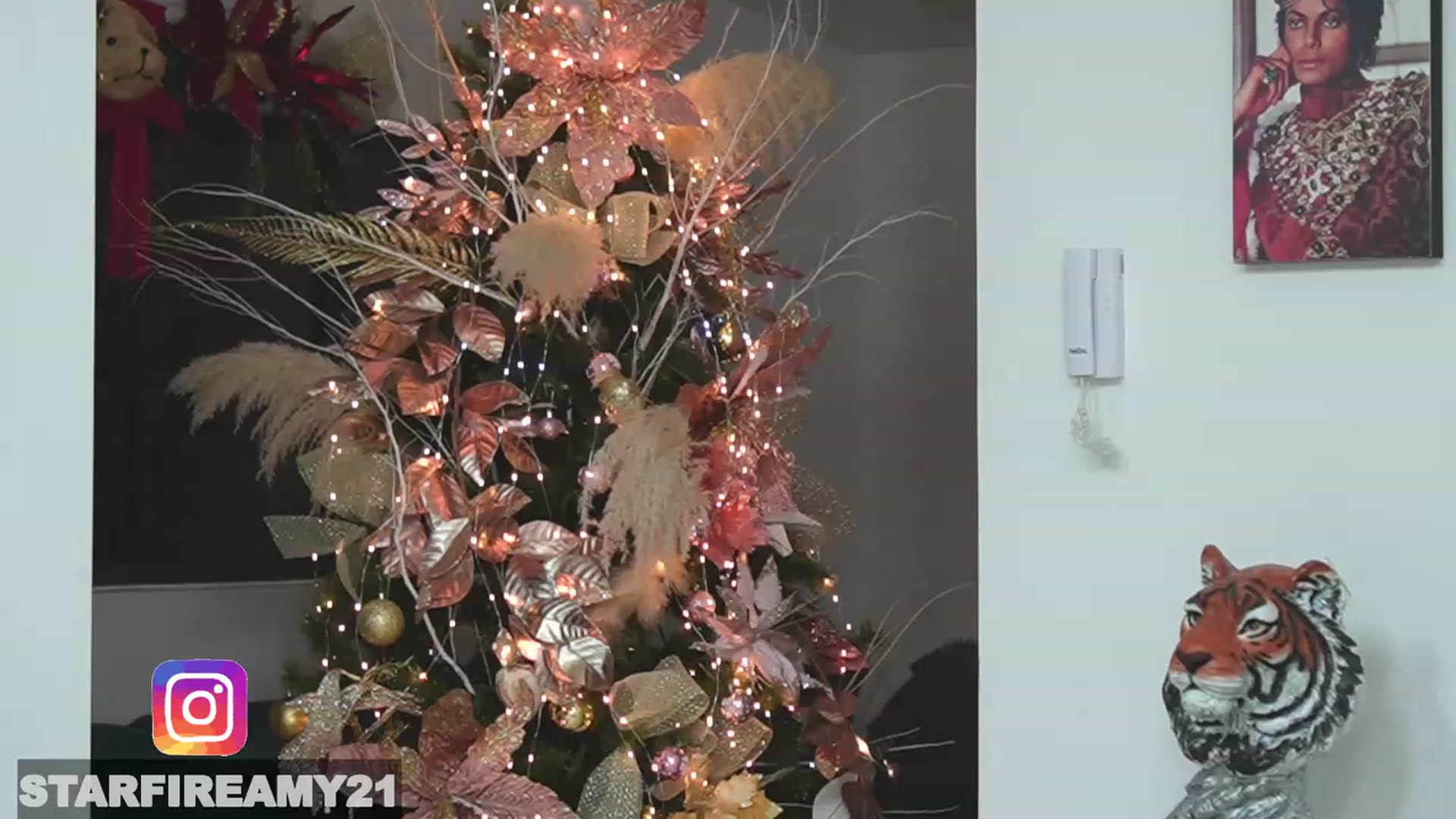 Gallery image thumbnail from Amy_Starfire's myfreecams stream on, 12/24/2022, 03:08 image 18 of 20