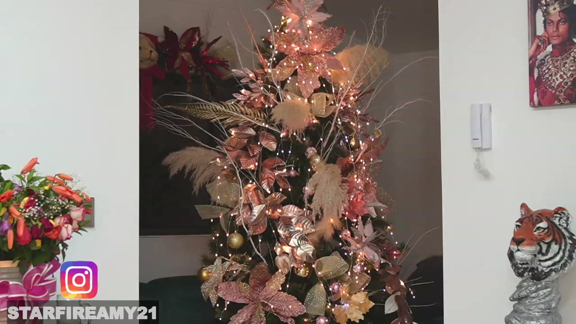 Gallery image thumbnail from Amy_Starfire's myfreecams stream on, 12/24/2022, 03:08 image 6 of 20