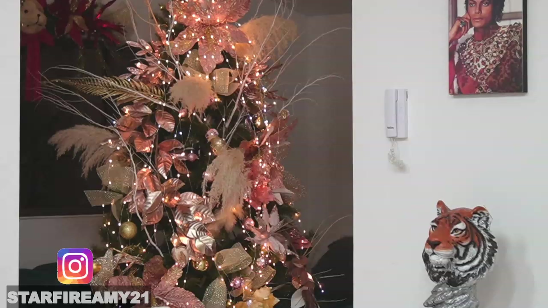 Gallery image thumbnail from Amy_Starfire's myfreecams stream on, 12/24/2022, 03:08 image 17 of 20