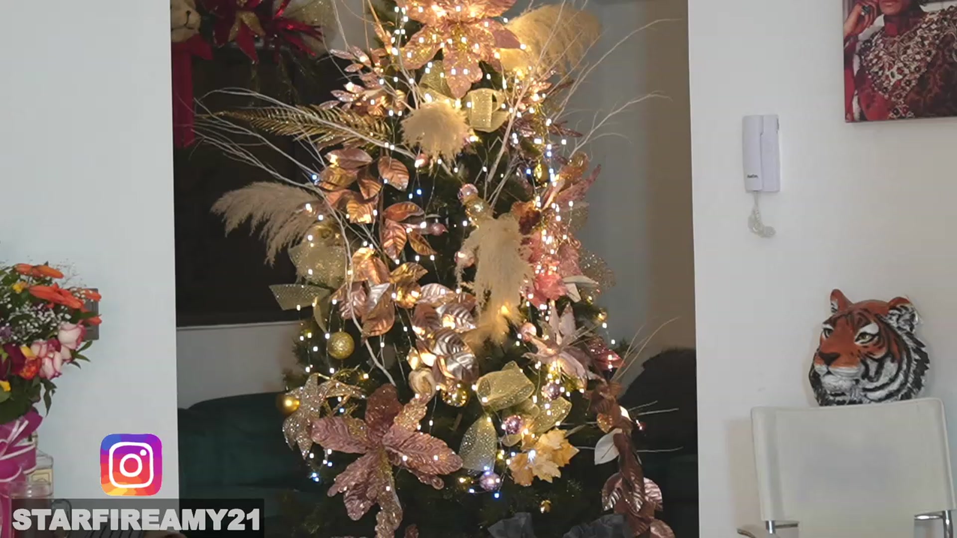 Gallery image thumbnail from Amy_Starfire's myfreecams stream on, 12/24/2022, 07:10 image 4 of 20