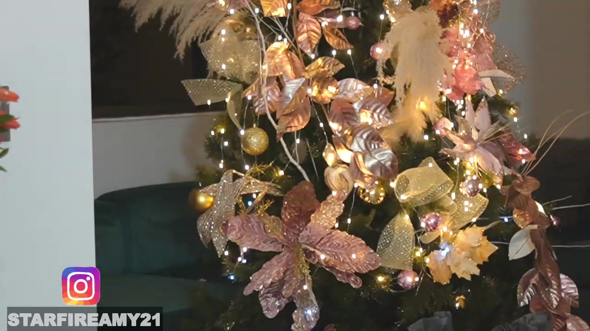 Gallery image thumbnail from Amy_Starfire's myfreecams stream on, 12/24/2022, 07:10 image 11 of 20