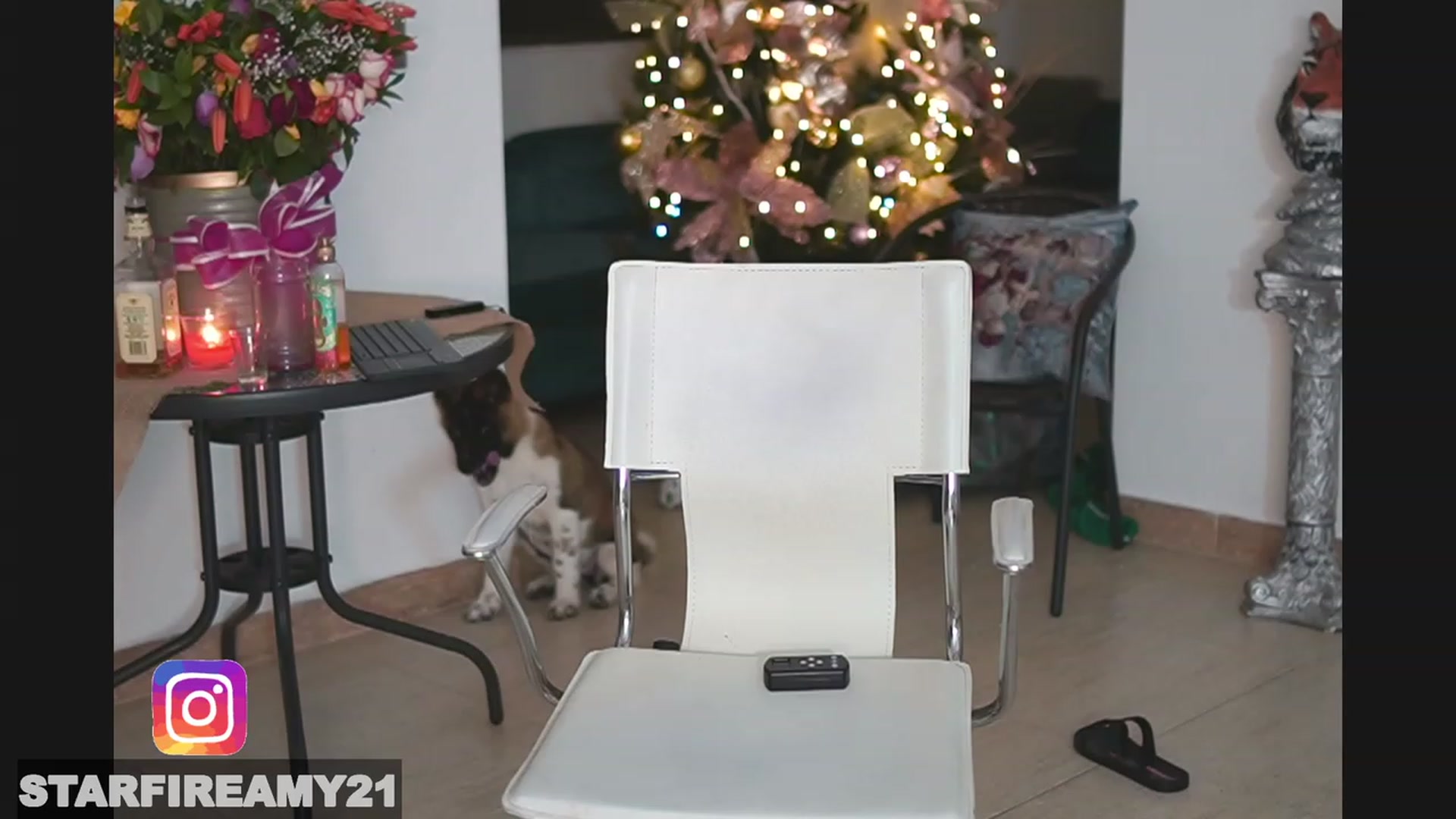 Gallery image thumbnail from Amy_Starfire's myfreecams stream on, 12/24/2022, 08:11 image 6 of 20