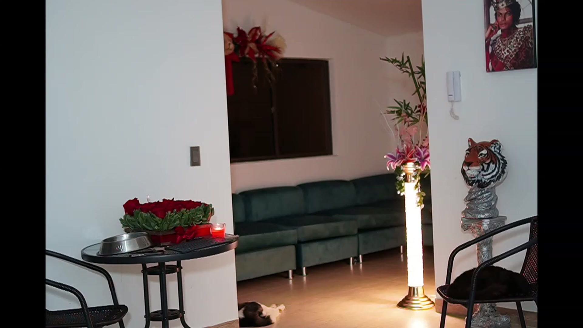 Gallery image thumbnail from Amy_Starfire's myfreecams stream on, 01/14/2023, 02:00 image 8 of 20