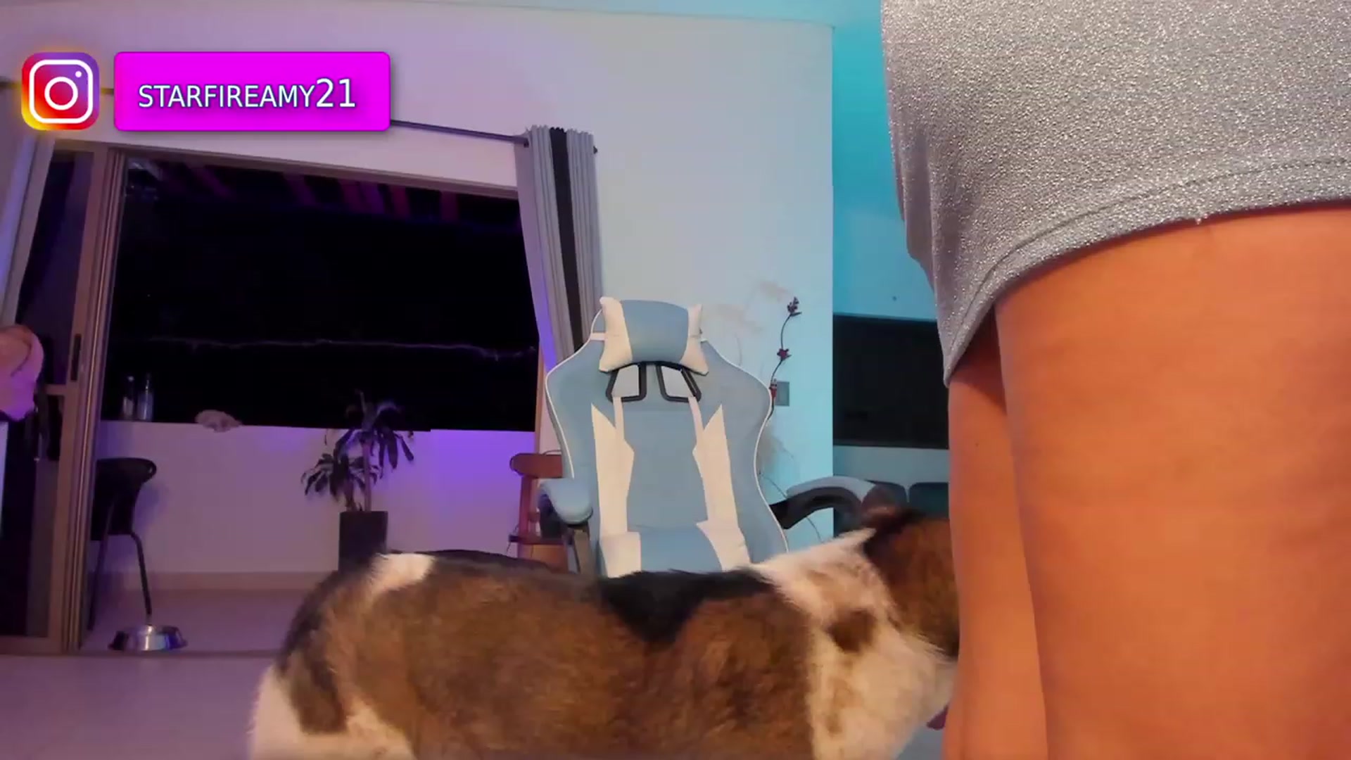 Gallery image thumbnail from Amy_Starfire's myfreecams stream on, 04/29/2023, 03:37 image 18 of 20