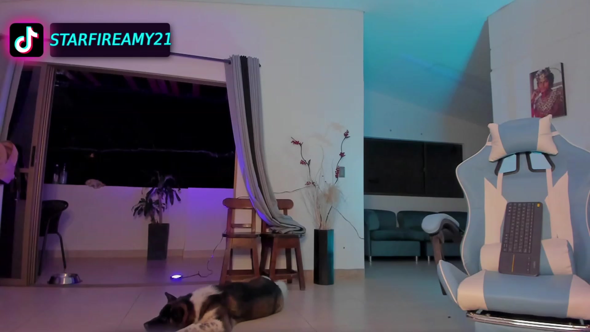 Gallery image thumbnail from Amy_Starfire's myfreecams stream on, 04/29/2023, 03:37 image 2 of 20