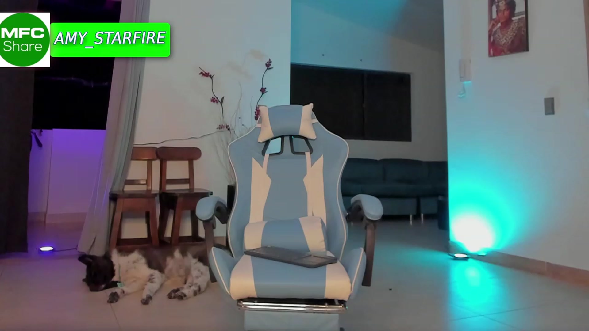 Gallery image thumbnail from Amy_Starfire's myfreecams stream on, 04/29/2023, 04:53 image 17 of 20
