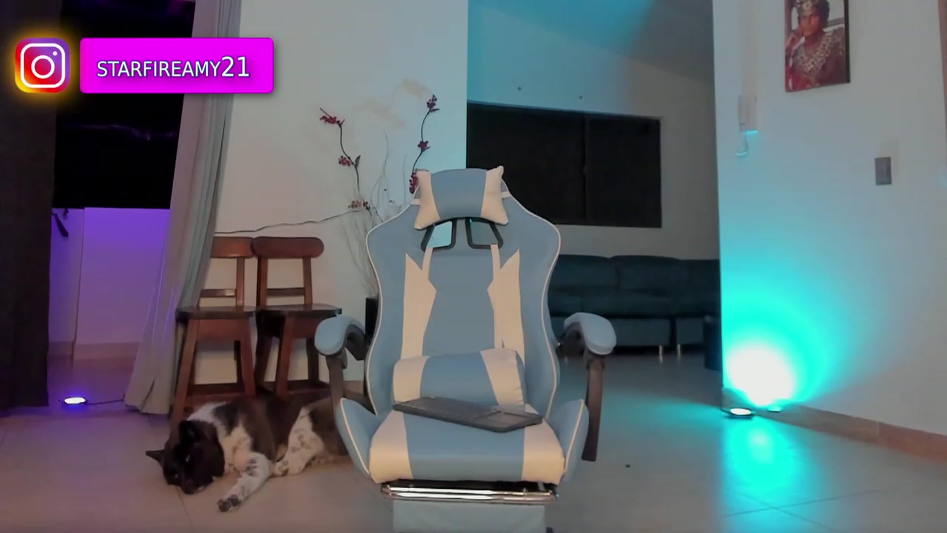 Gallery image thumbnail from Amy_Starfire's myfreecams stream on, 04/29/2023, 04:53 image 15 of 20