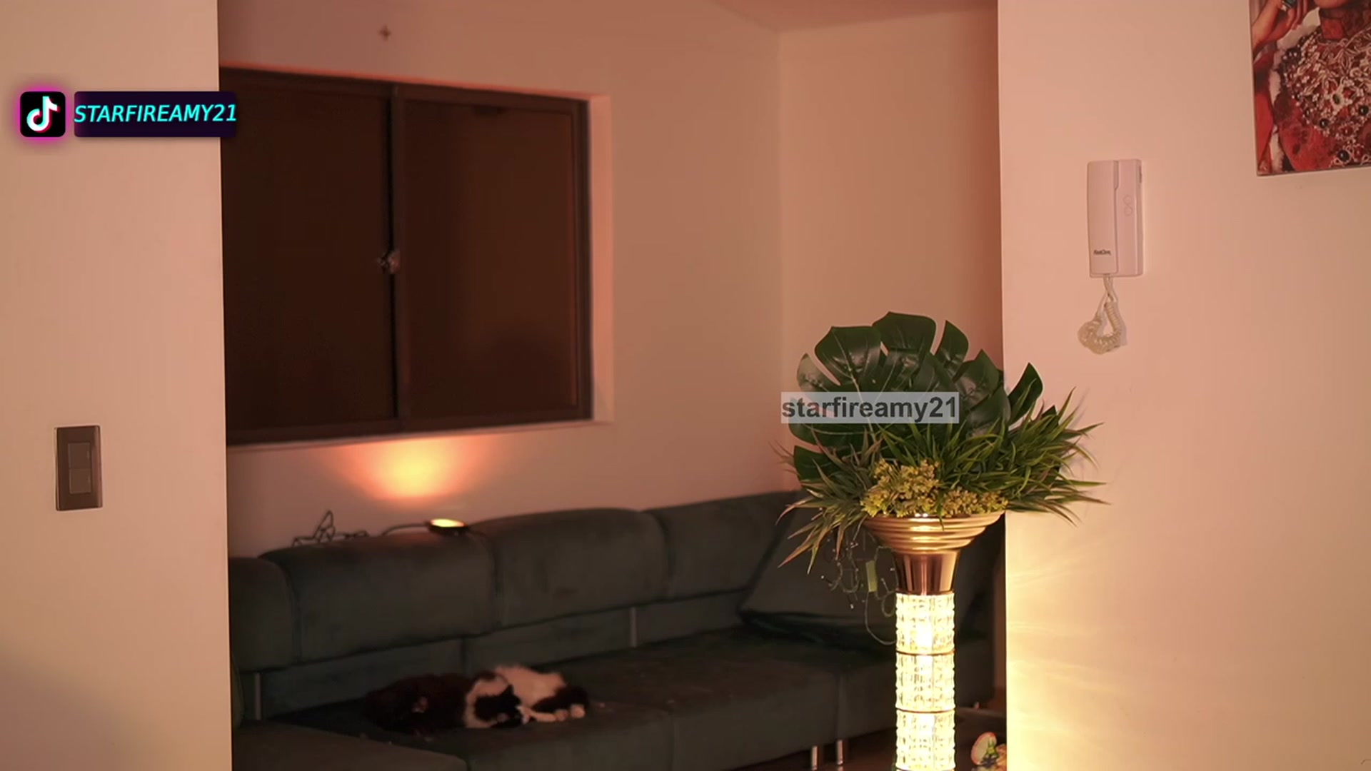 Gallery image thumbnail from Amy_Starfire's myfreecams stream on, 07/08/2023, 09:24 image 10 of 20