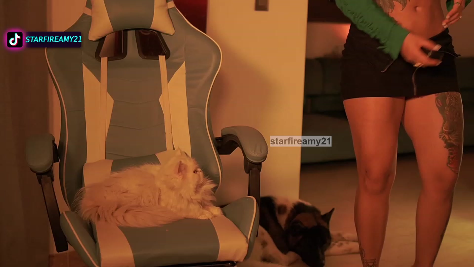Gallery image thumbnail from Amy_Starfire's myfreecams stream on, 07/08/2023, 09:24 image 7 of 20