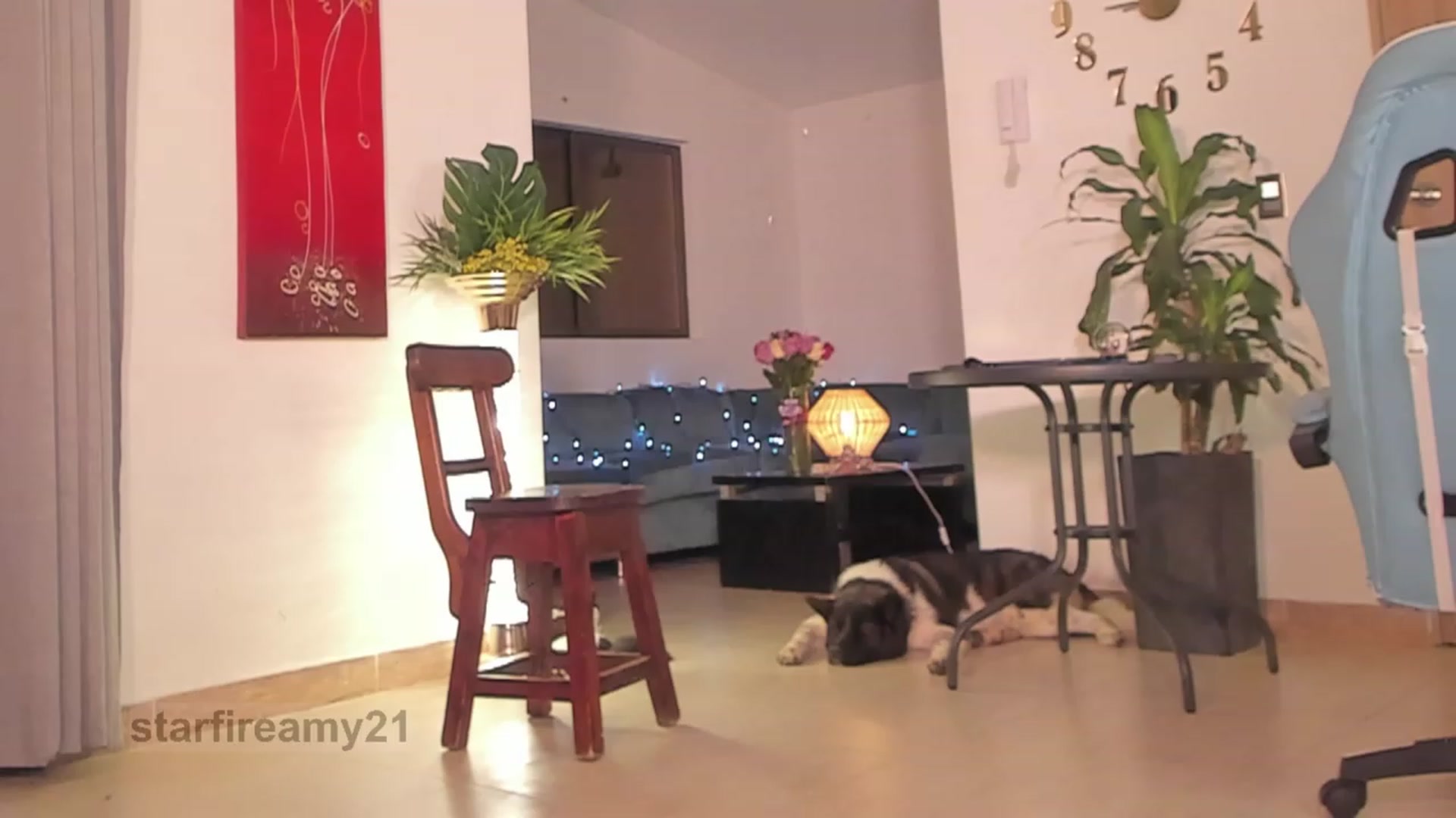 Gallery image thumbnail from Amy_Starfire's myfreecams stream on, 10/28/2023, 02:23 image 7 of 20