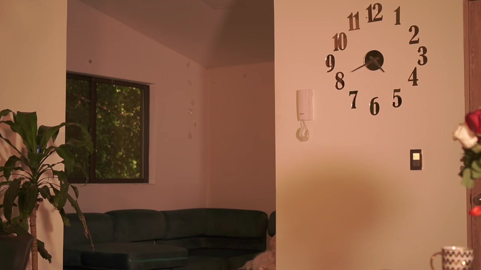 Gallery image thumbnail from Amy_Starfire's myfreecams stream on, 01/12/2024, 23:42 image 4 of 20