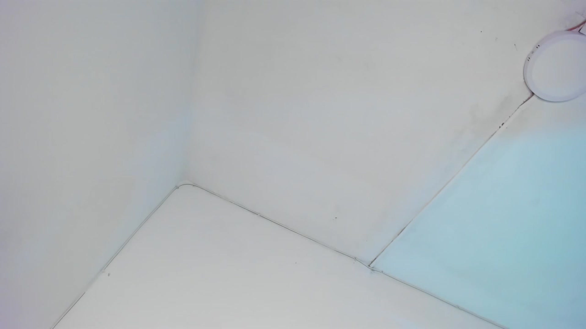 Gallery image thumbnail from Amy_corleone's myfreecams stream on, 01/30/2023, 19:29 image 3 of 20