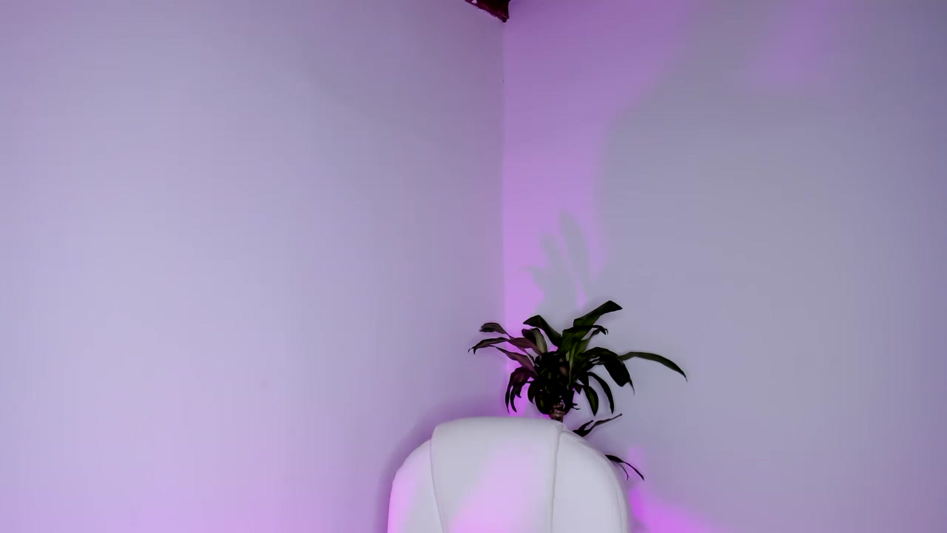 Gallery image thumbnail from Amy_corleone's myfreecams stream on, 05/09/2023, 17:33 image 12 of 20
