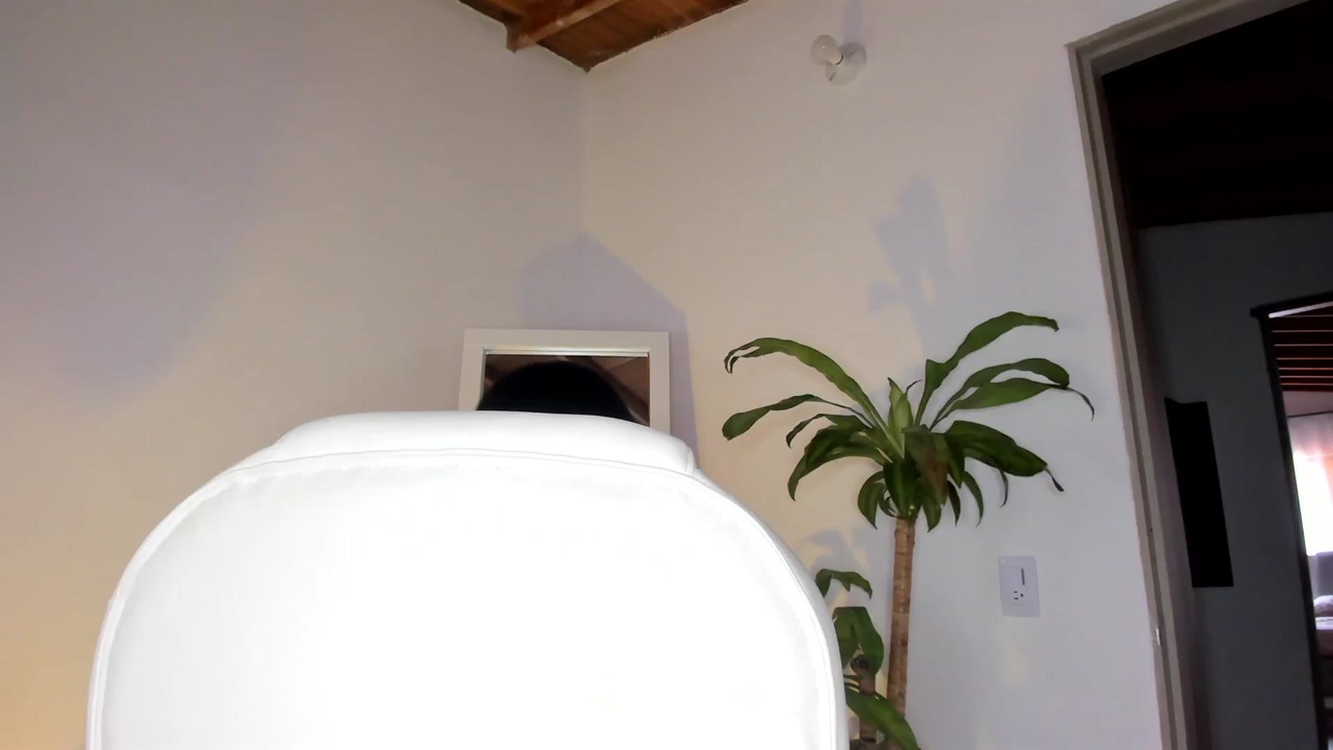 Gallery image thumbnail from Amy_corleone's myfreecams stream on, 11/13/2023, 18:03 image 15 of 20