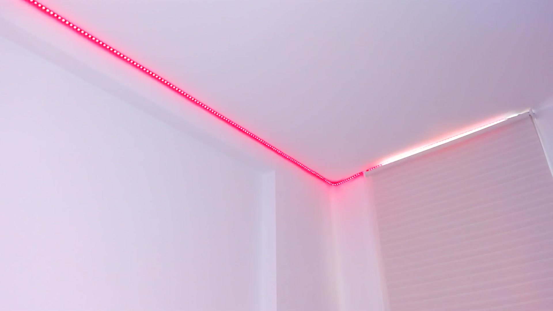 Gallery image thumbnail from Amy_corleone's myfreecams stream on, 11/24/2023, 14:05 image 15 of 20