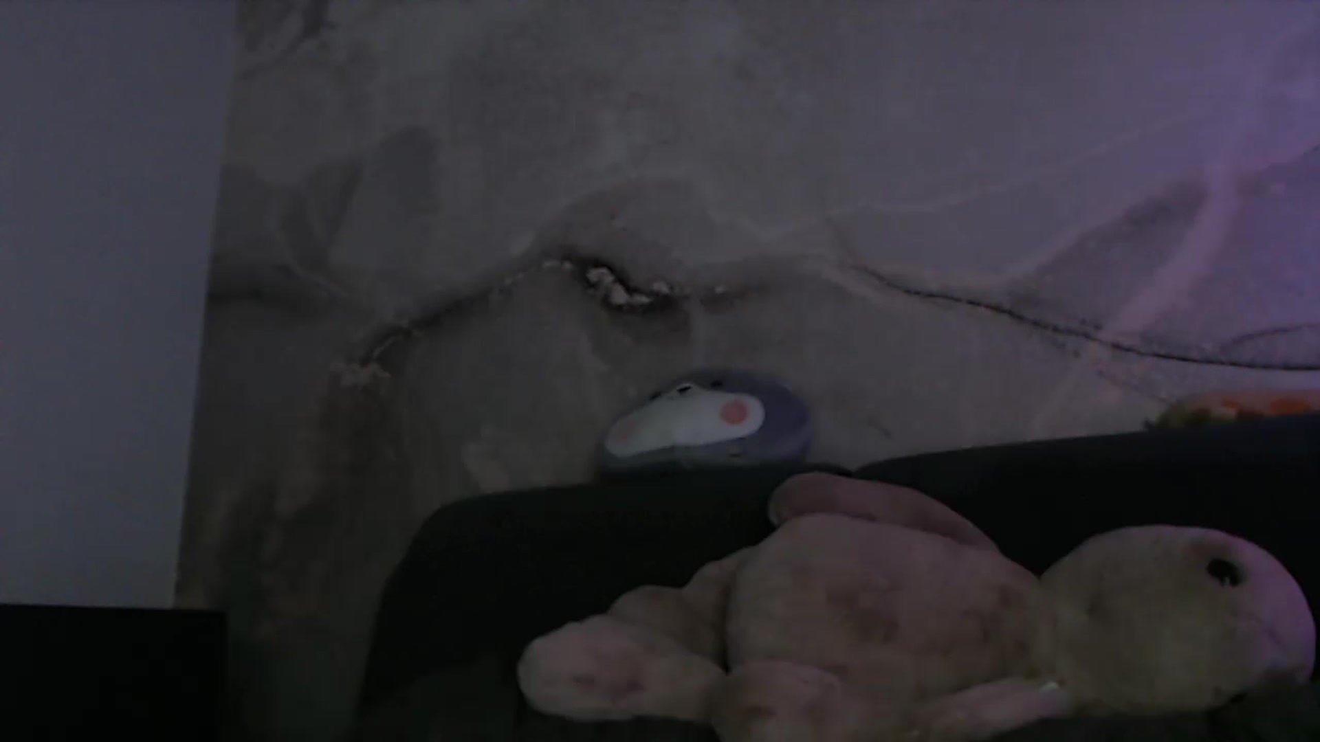 Gallery image thumbnail from An_Basset's myfreecams stream on, 12/12/2022, 23:22 image 18 of 20