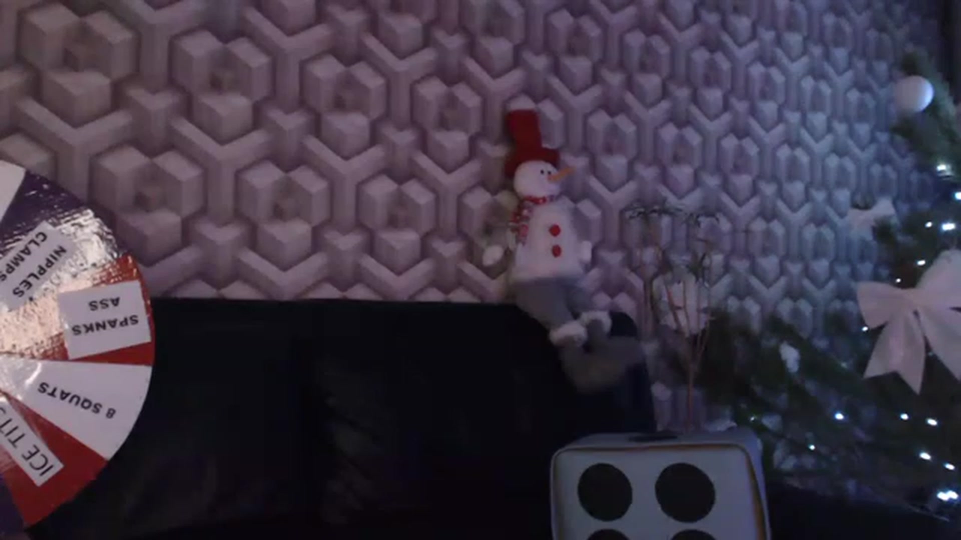 Gallery image thumbnail from An_Basset's myfreecams stream on, 12/25/2022, 24:02 image 8 of 20