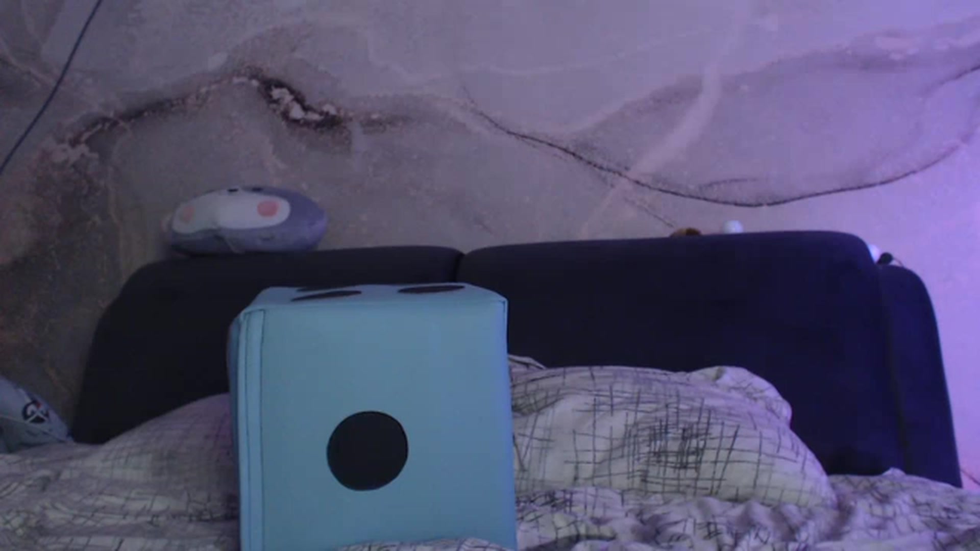 Gallery image thumbnail from An_Basset's myfreecams stream on, 01/05/2023, 22:23 image 16 of 20