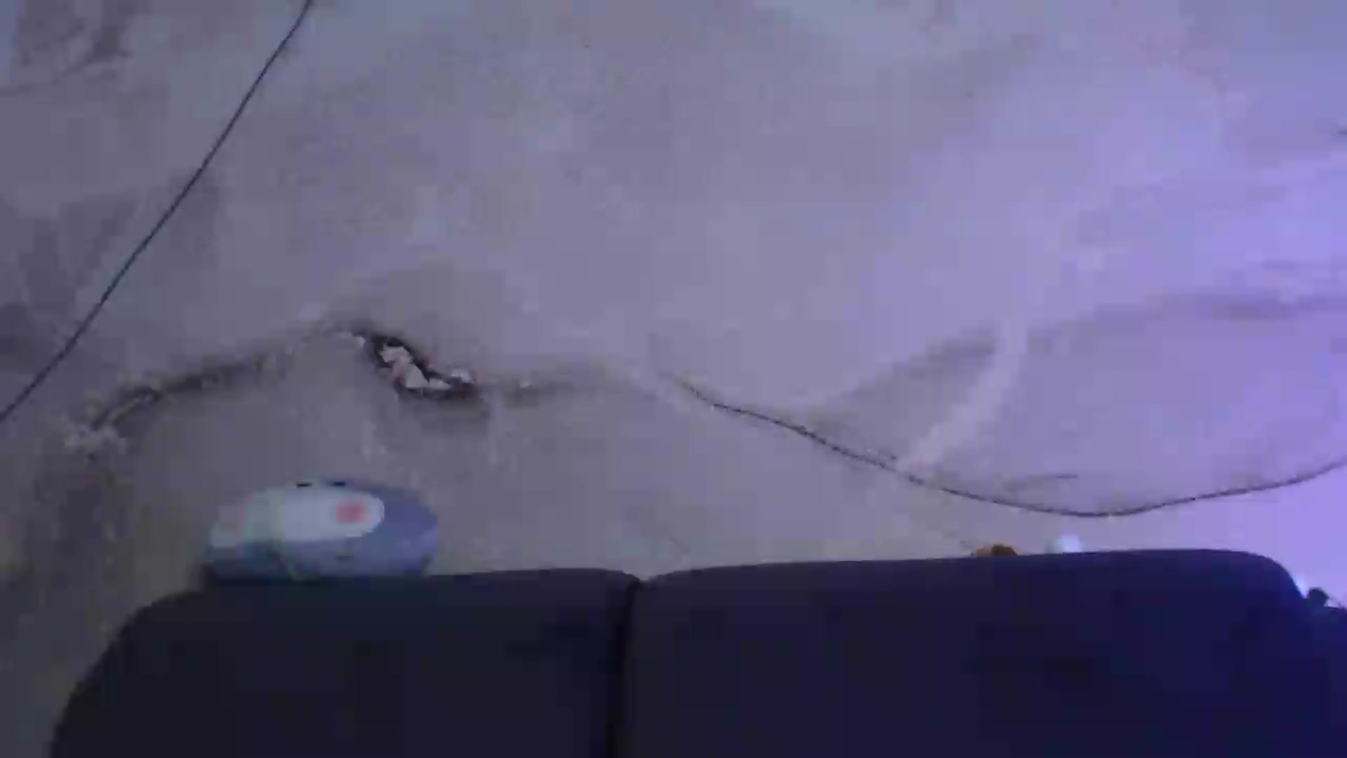 Gallery image thumbnail from An_Basset's myfreecams stream on, 01/06/2023, 01:59 image 17 of 20