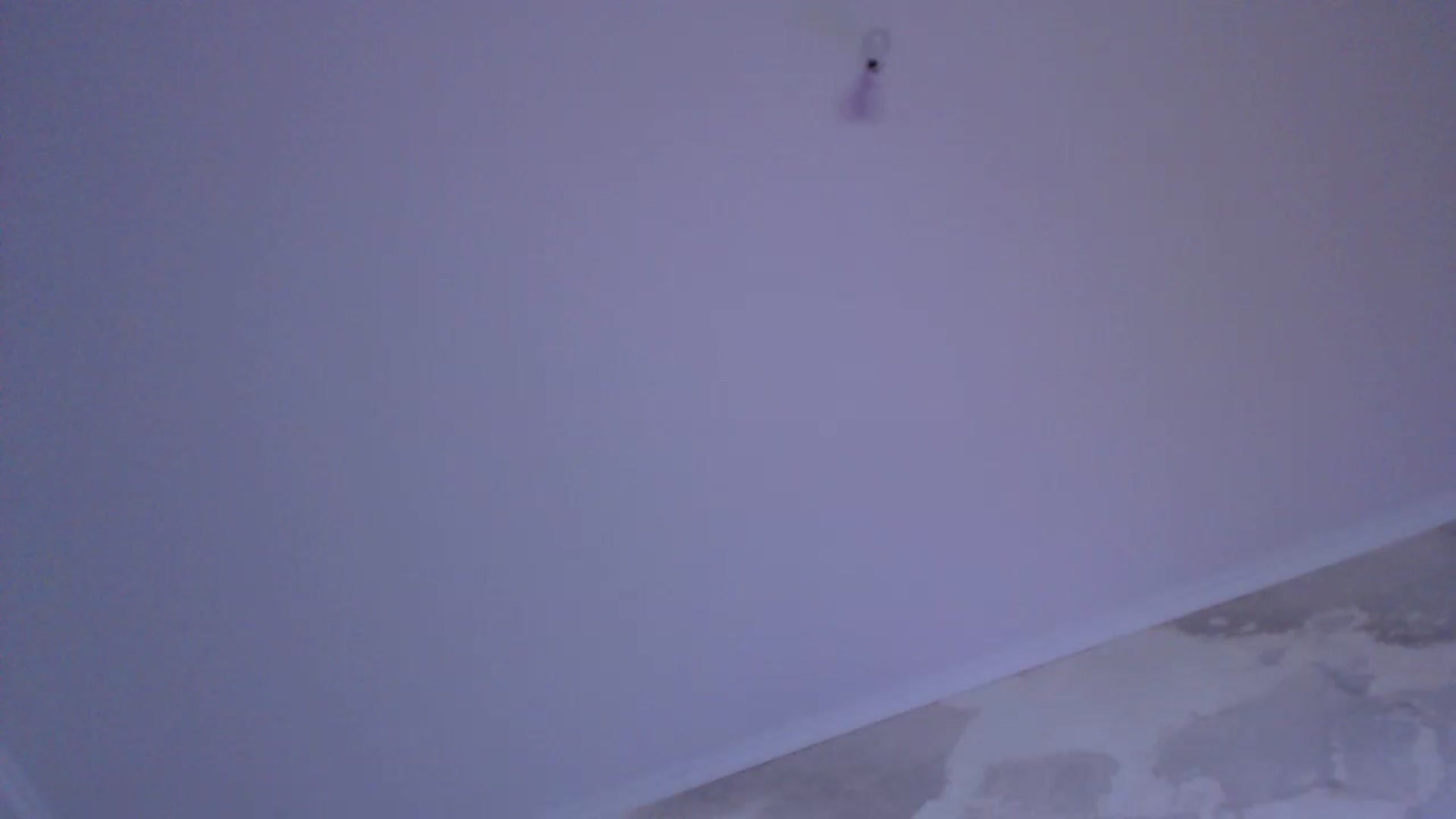 Gallery image thumbnail from An_Basset's myfreecams stream on, 01/06/2023, 02:53 image 4 of 20