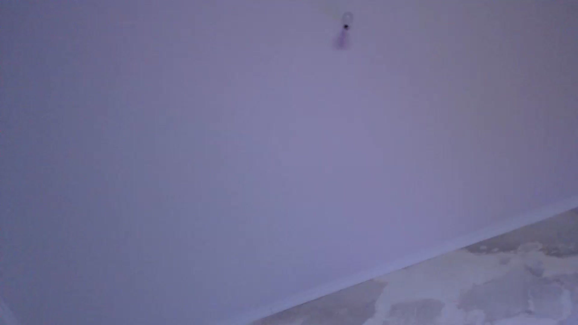 Gallery image thumbnail from An_Basset's myfreecams stream on, 01/06/2023, 02:53 image 5 of 20