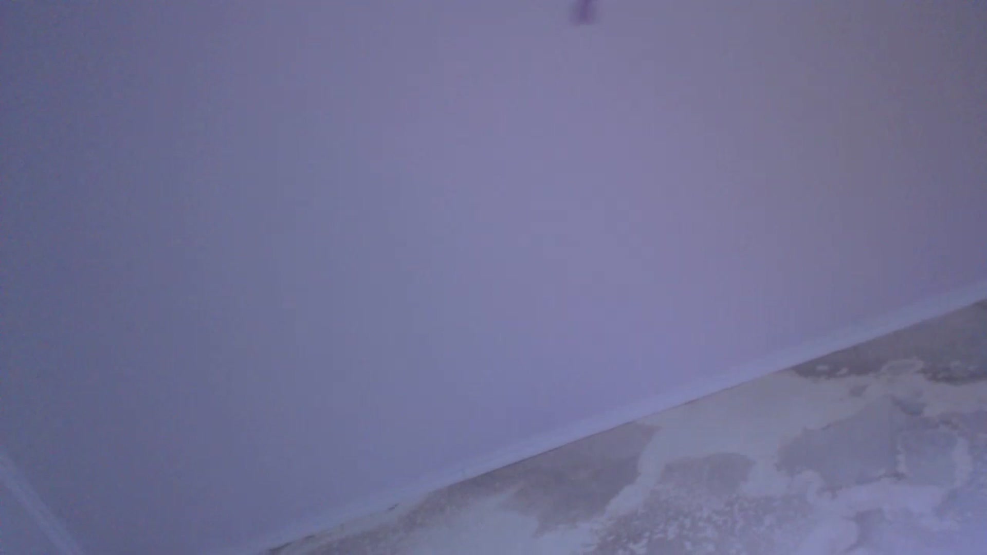 Gallery image thumbnail from An_Basset's myfreecams stream on, 01/06/2023, 02:53 image 6 of 20