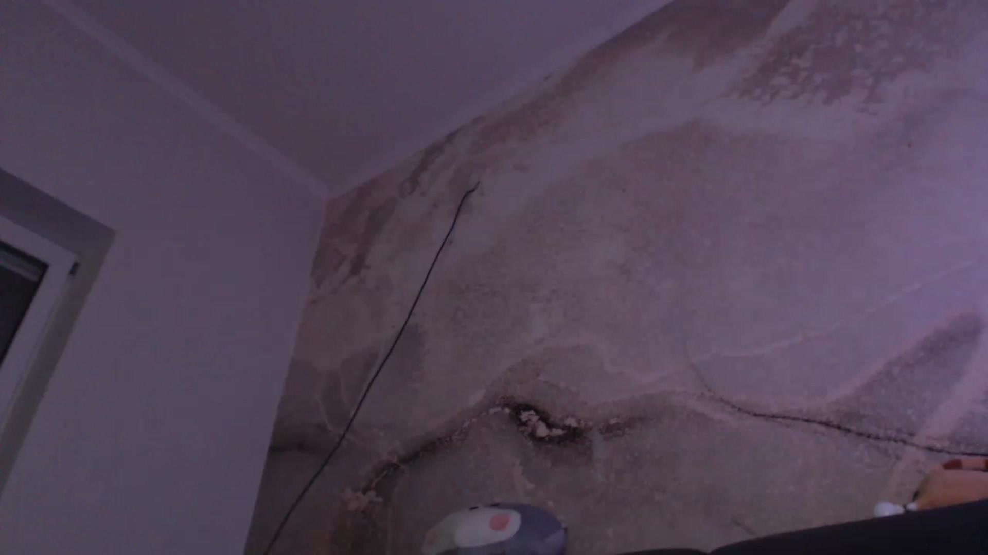Gallery image thumbnail from An_Basset's myfreecams stream on, 01/08/2023, 24:36 image 14 of 20