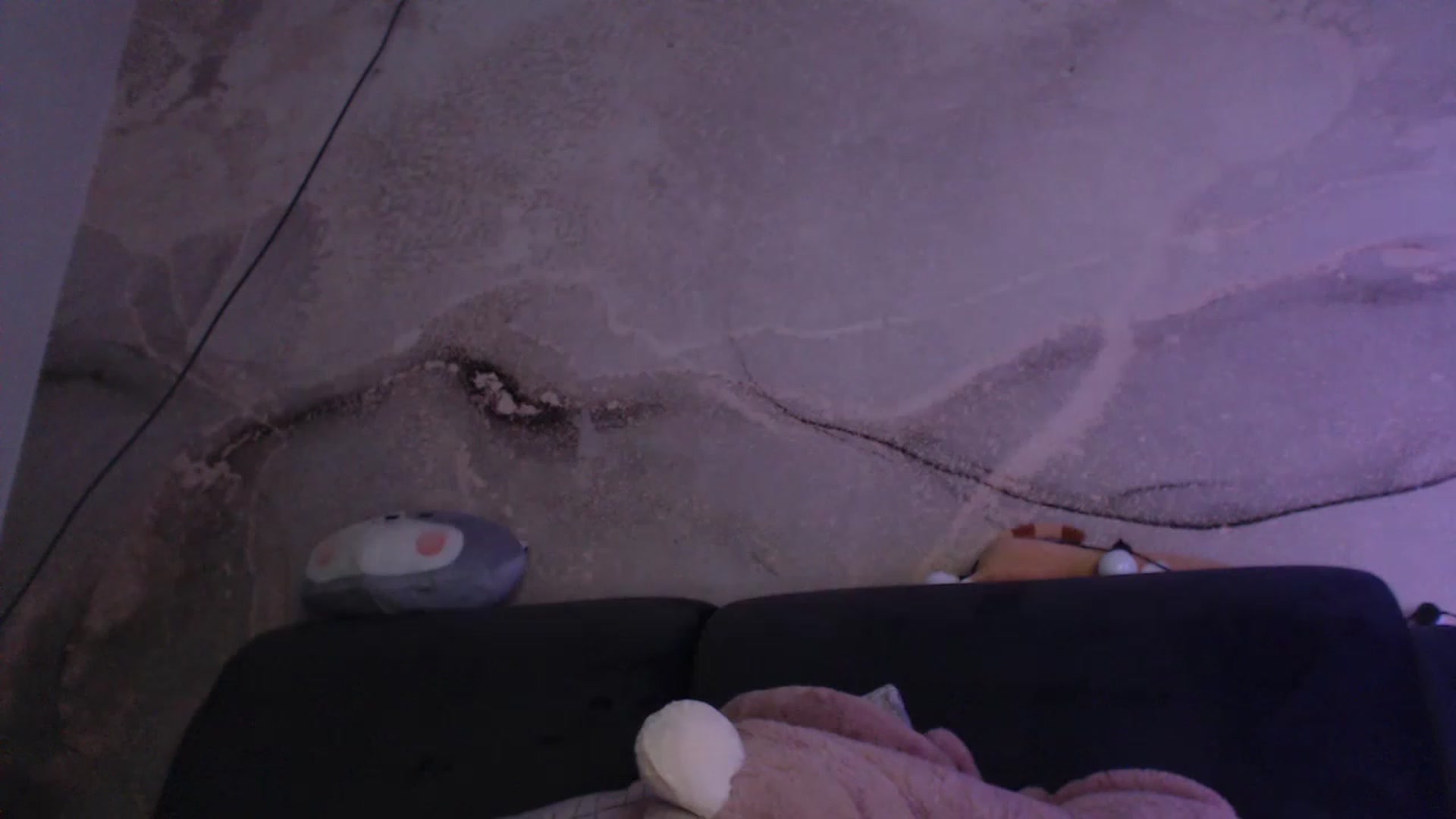 Gallery image thumbnail from An_Basset's myfreecams stream on, 01/08/2023, 03:29 image 6 of 20