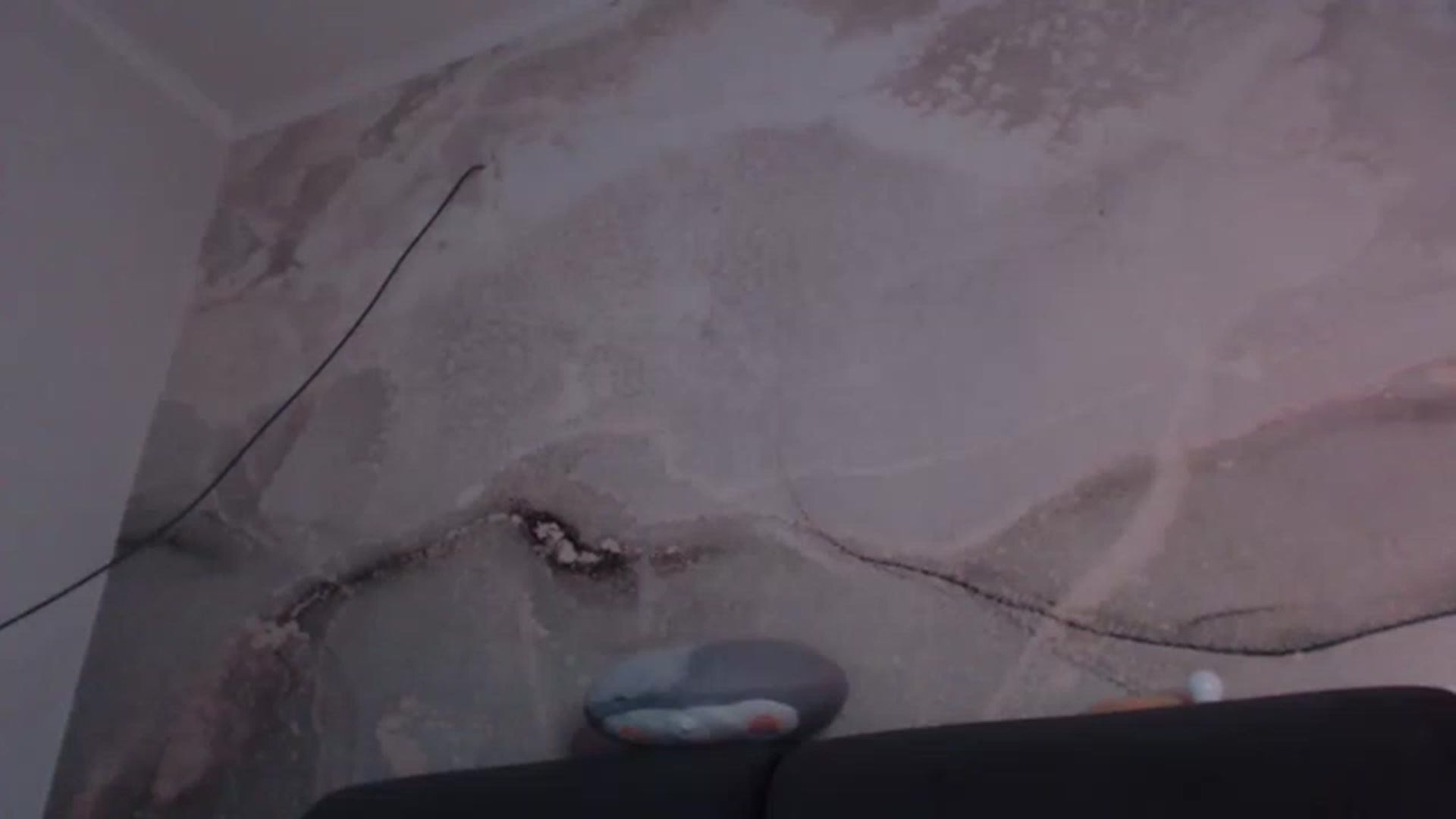 Gallery image thumbnail from An_Basset's myfreecams stream on, 01/20/2023, 22:36 image 17 of 20