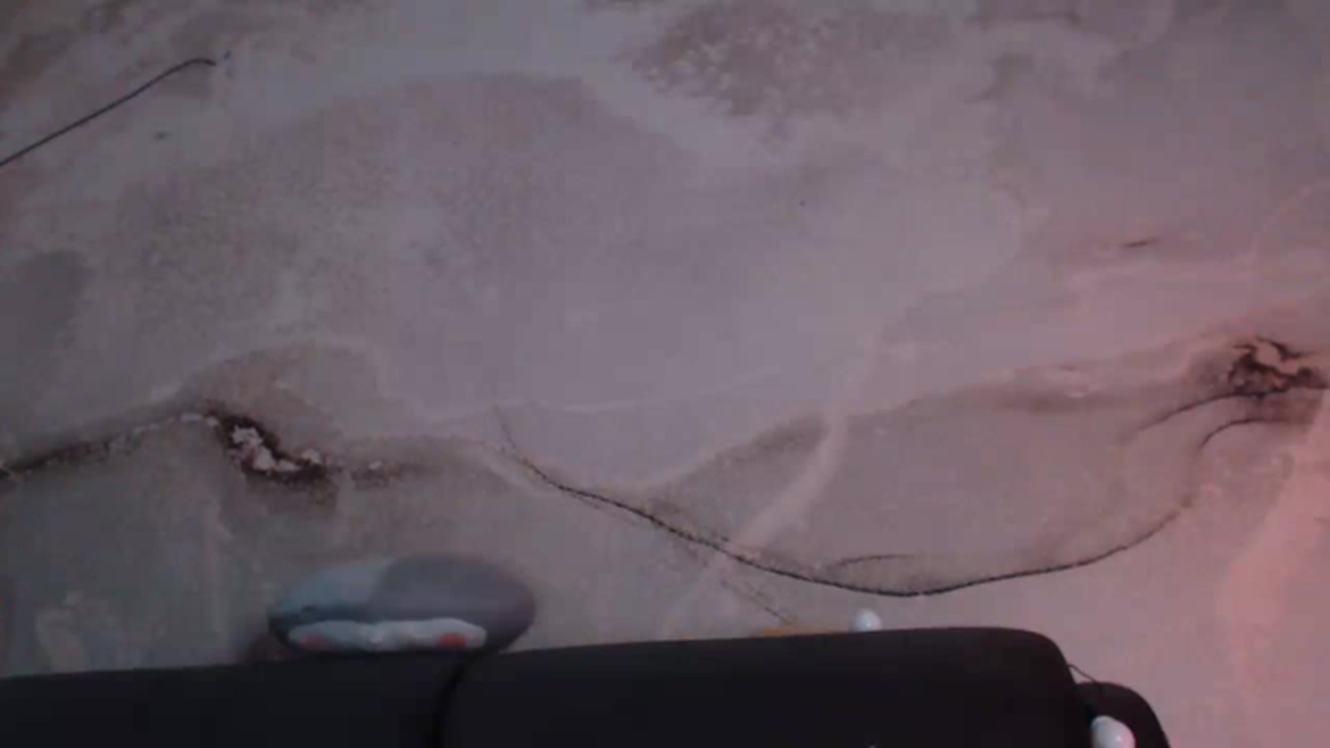 Gallery image thumbnail from An_Basset's myfreecams stream on, 01/22/2023, 23:01 image 19 of 20