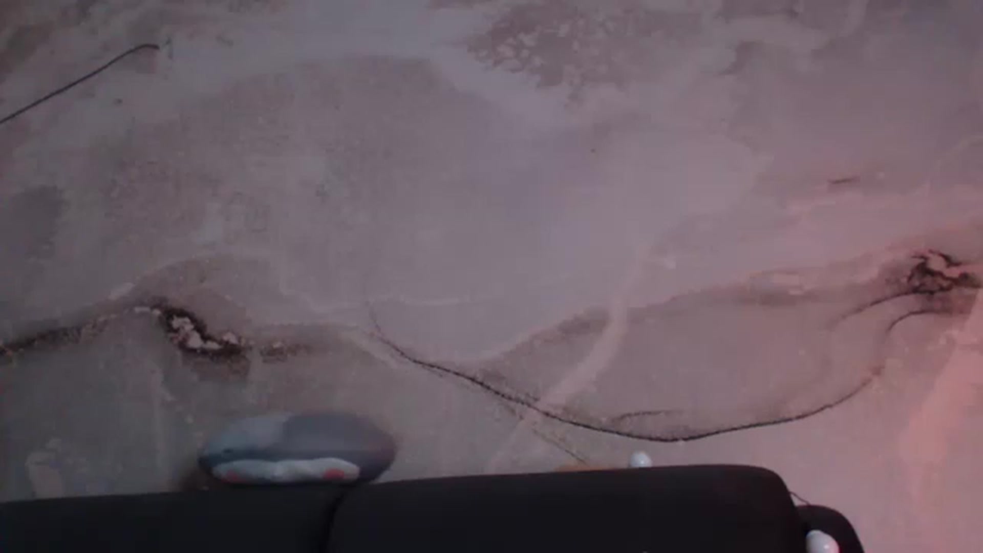 Gallery image thumbnail from An_Basset's myfreecams stream on, 01/22/2023, 23:01 image 20 of 20
