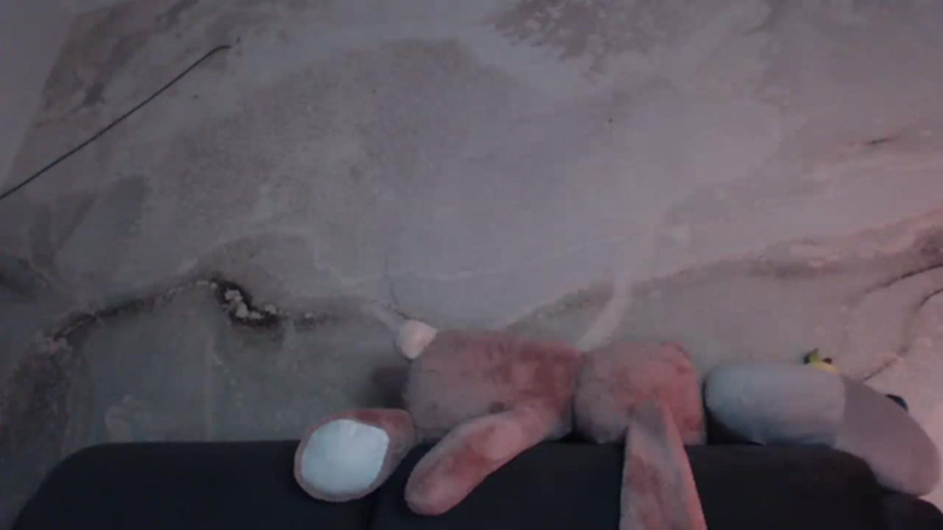 Gallery image thumbnail from An_Basset's myfreecams stream on, 01/29/2023, 21:38 image 20 of 20