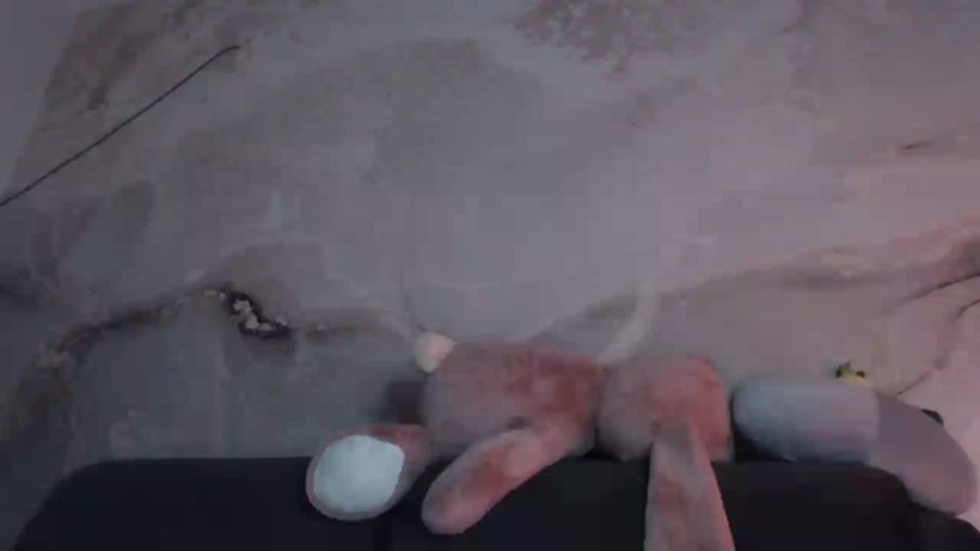 Gallery image thumbnail from An_Basset's myfreecams stream on, 01/29/2023, 21:38 image 18 of 20