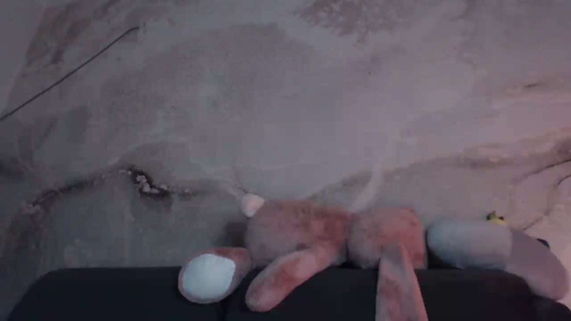 Gallery image thumbnail from An_Basset's myfreecams stream on, 01/29/2023, 21:38 image 19 of 20