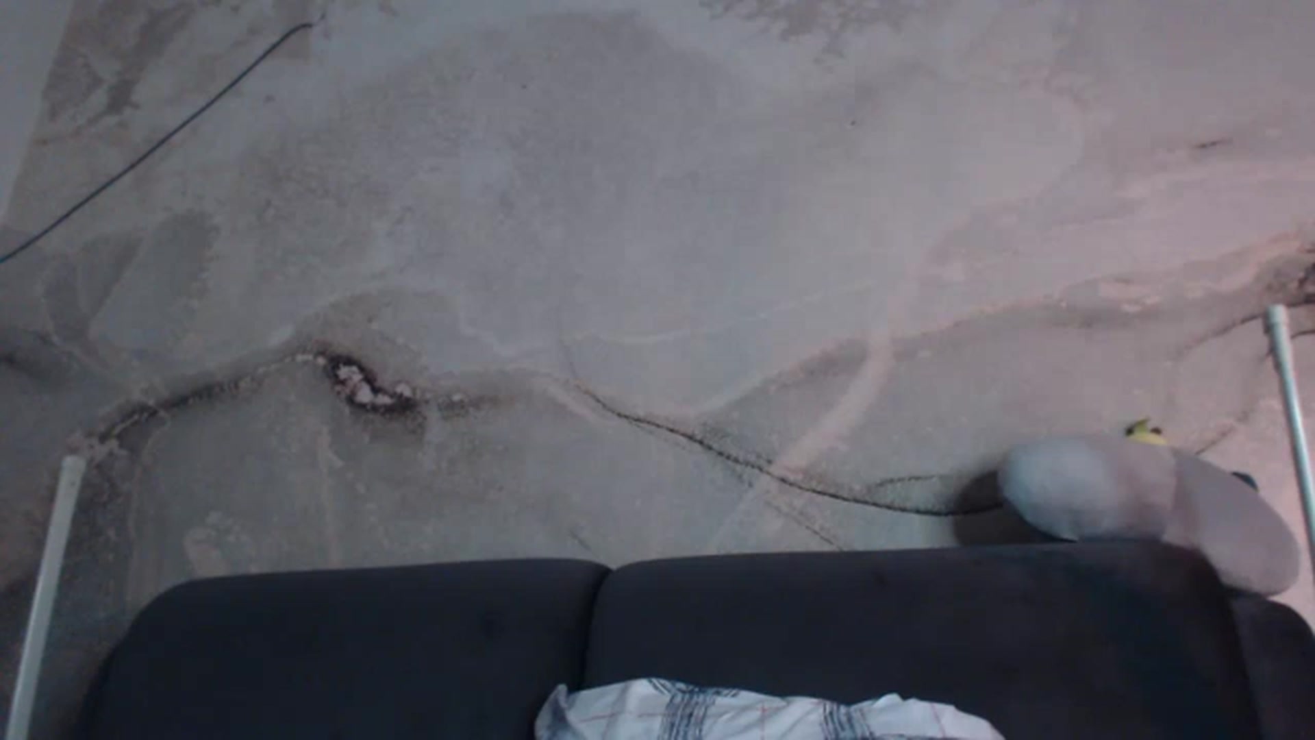 Gallery image thumbnail from An_Basset's myfreecams stream on, 01/31/2023, 24:07 image 11 of 20