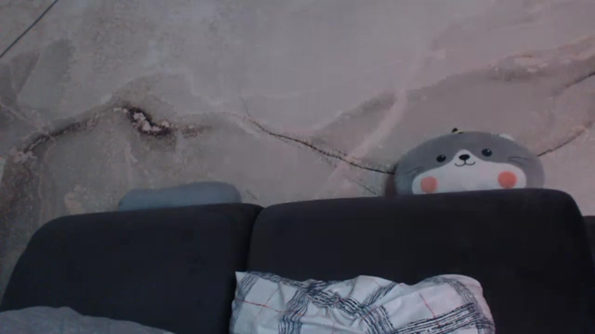 Gallery image thumbnail from An_Basset's myfreecams stream on, 02/01/2023, 02:43 image 8 of 20