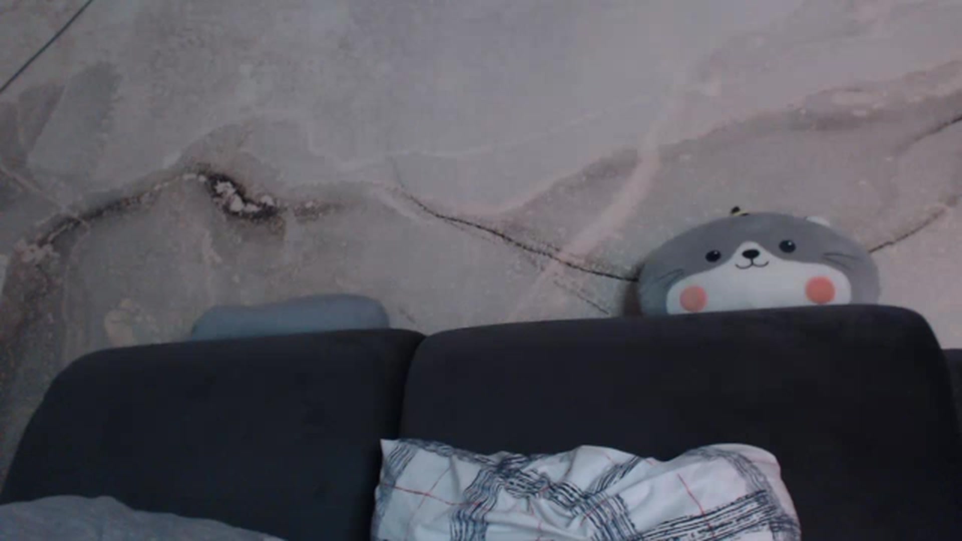 Gallery image thumbnail from An_Basset's myfreecams stream on, 02/01/2023, 02:43 image 7 of 20