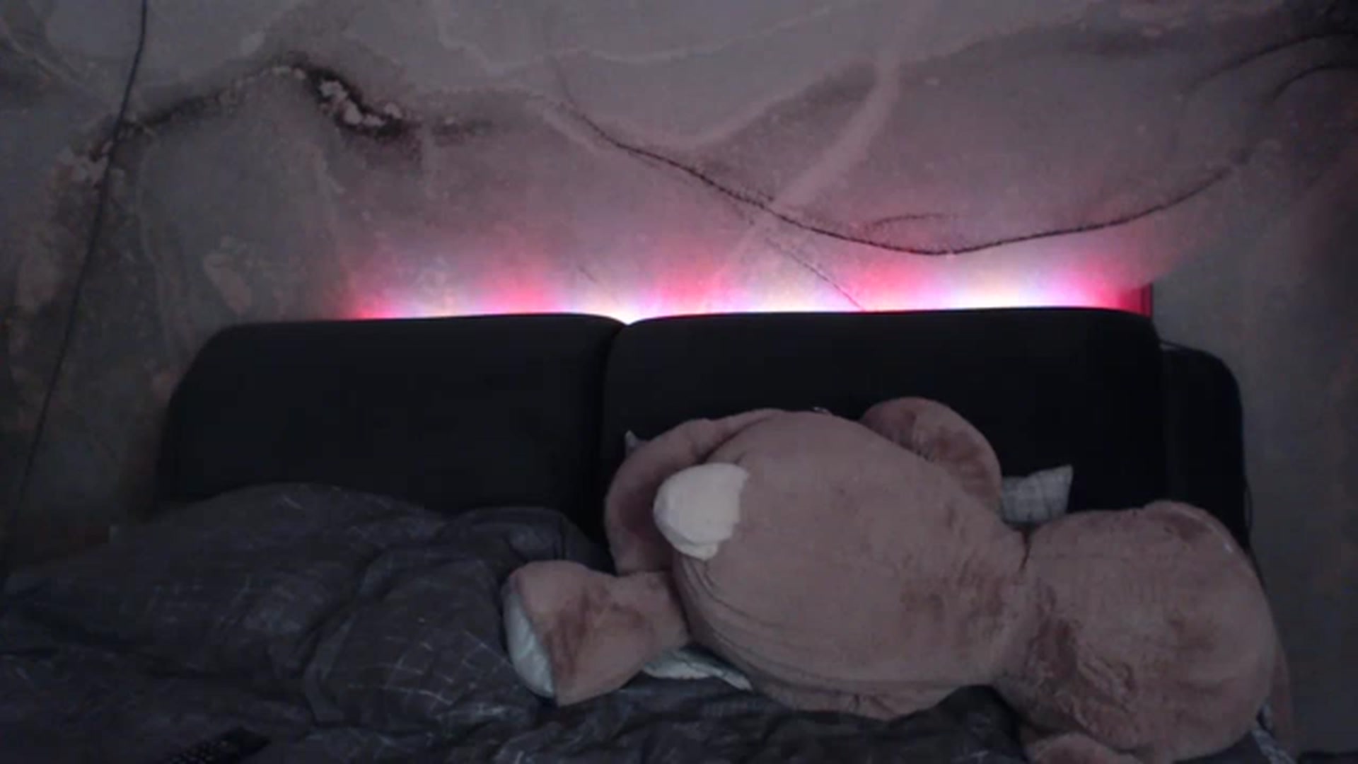 Gallery image thumbnail from An_Basset's myfreecams stream on, 02/22/2023, 22:03 image 8 of 20