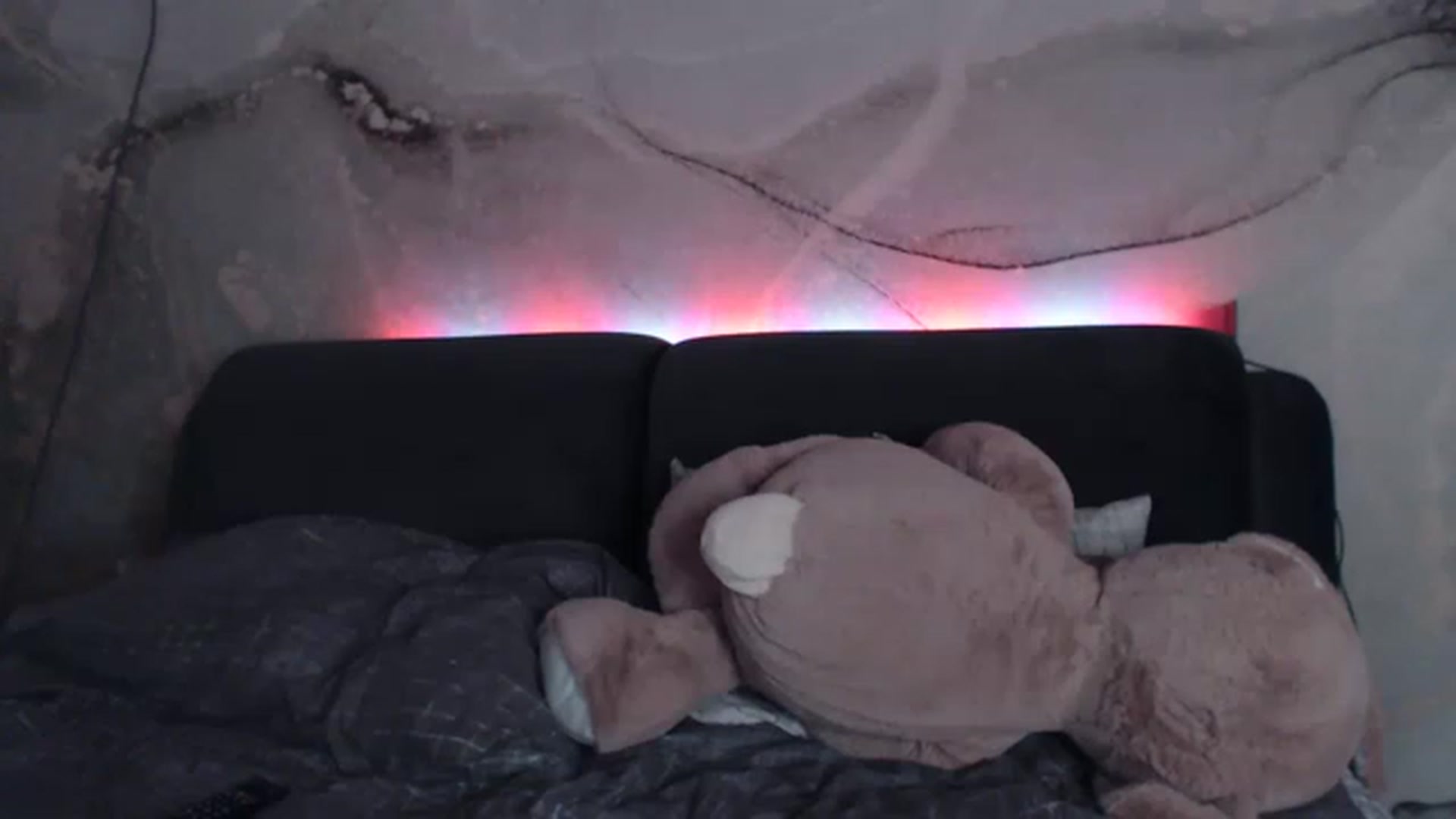 Gallery image thumbnail from An_Basset's myfreecams stream on, 02/22/2023, 22:03 image 3 of 20