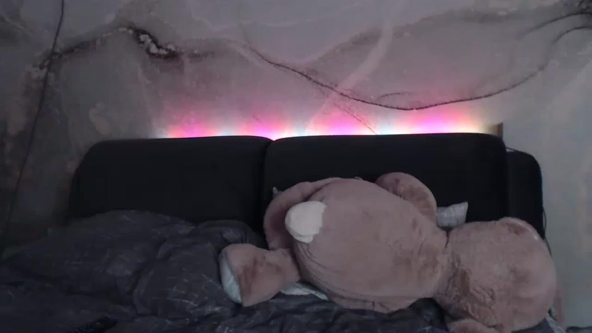 Gallery image thumbnail from An_Basset's myfreecams stream on, 02/22/2023, 22:03 image 4 of 20