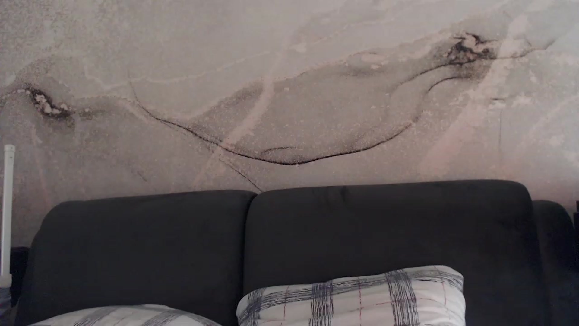 Gallery image thumbnail from An_Basset's myfreecams stream on, 06/29/2023, 20:34 image 18 of 20